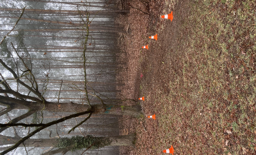 Schulcrosslauf_2